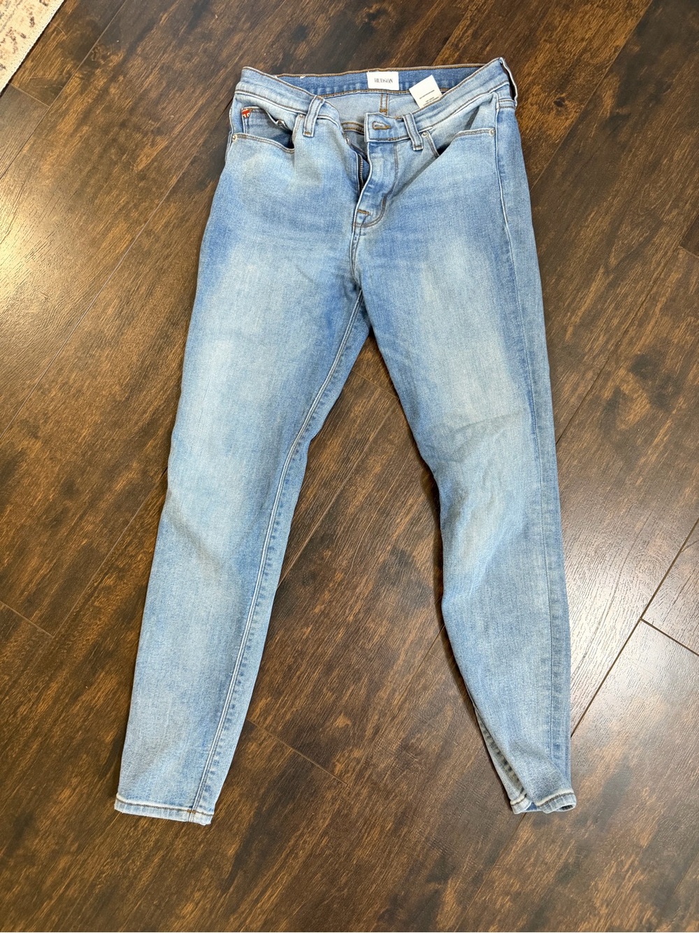 Hudson Jeans Light Blue Skinny Jeans